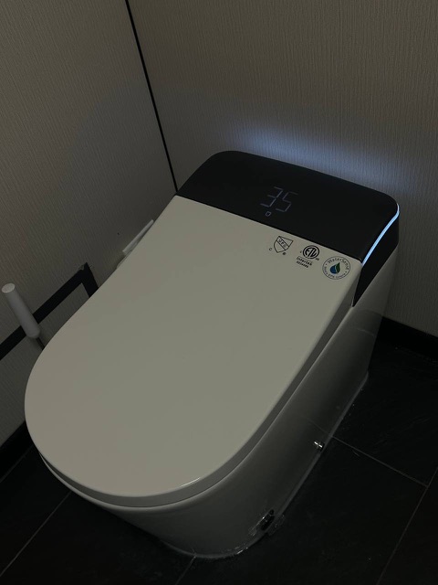 Smart toilet