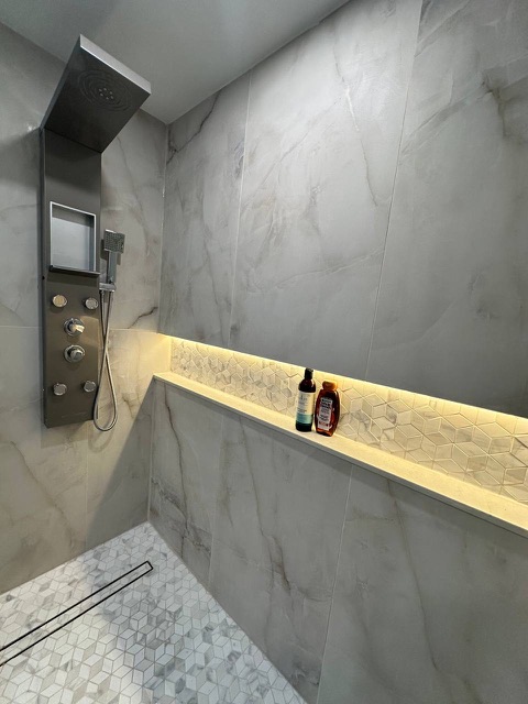 Shower panel and lit niche