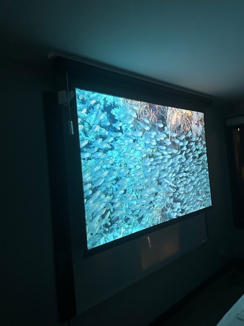 Projector screen in the second bedroom