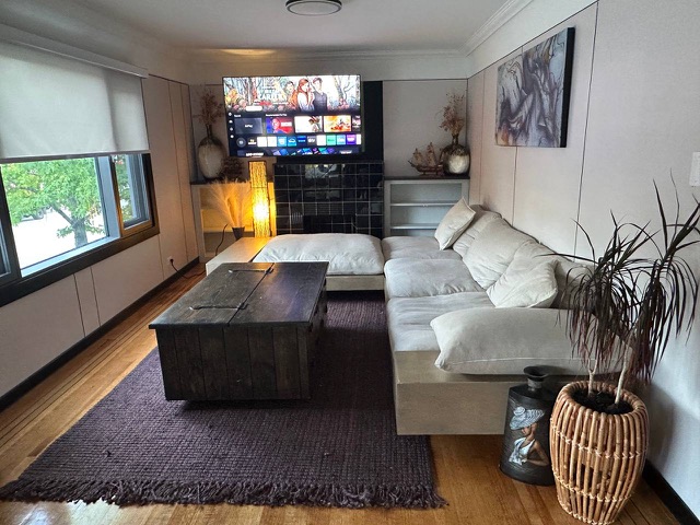 Living room with plants and floor lamp